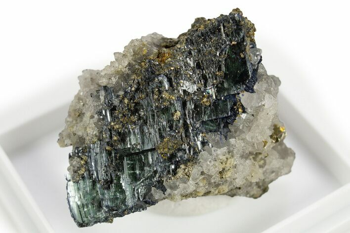 Translucent Blue-Green Vivianite Crystals on Pyrite - Romania #309775